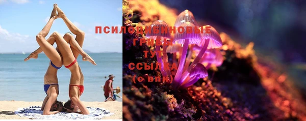 гидра Алексеевка