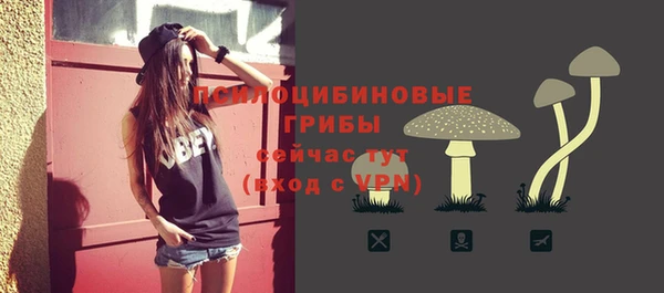 гидра Алексеевка